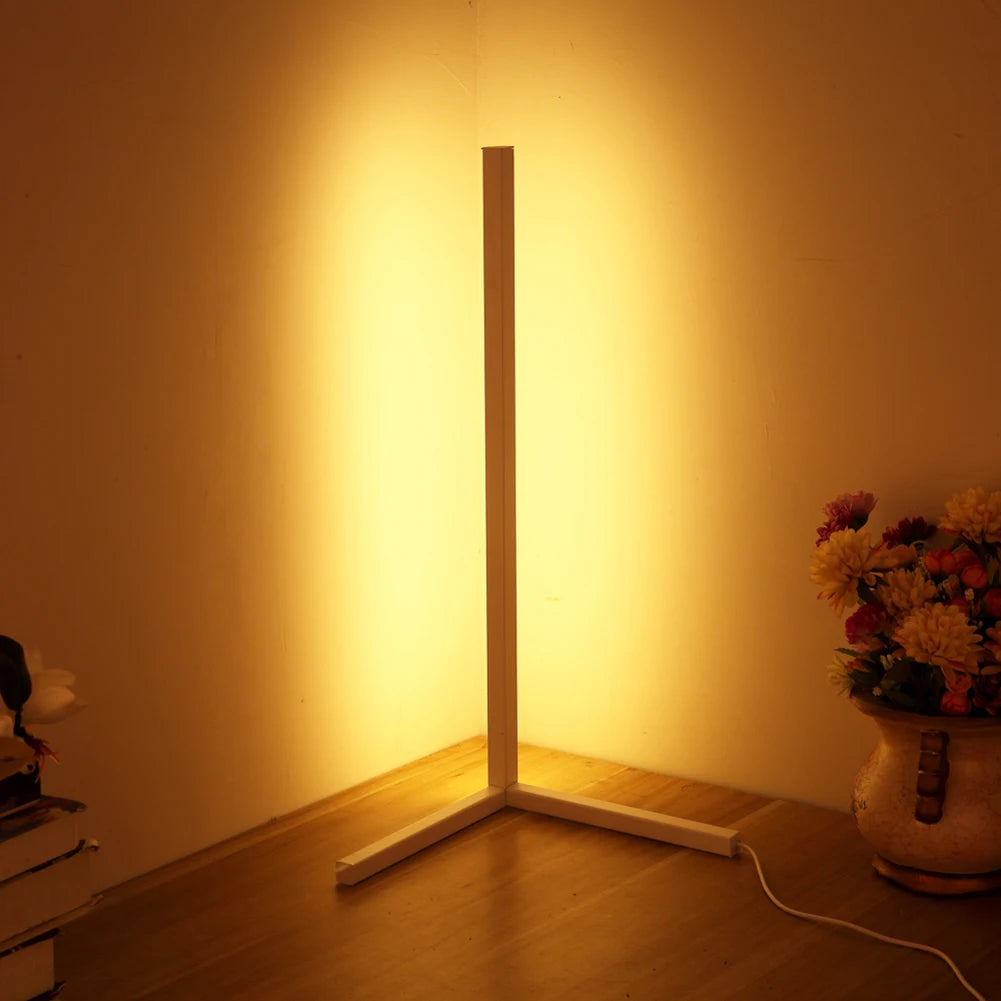 LED Atmosphere Standing Floor Lamp