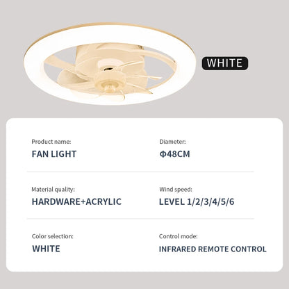 Modern Remote Control Ceiling Fan Light